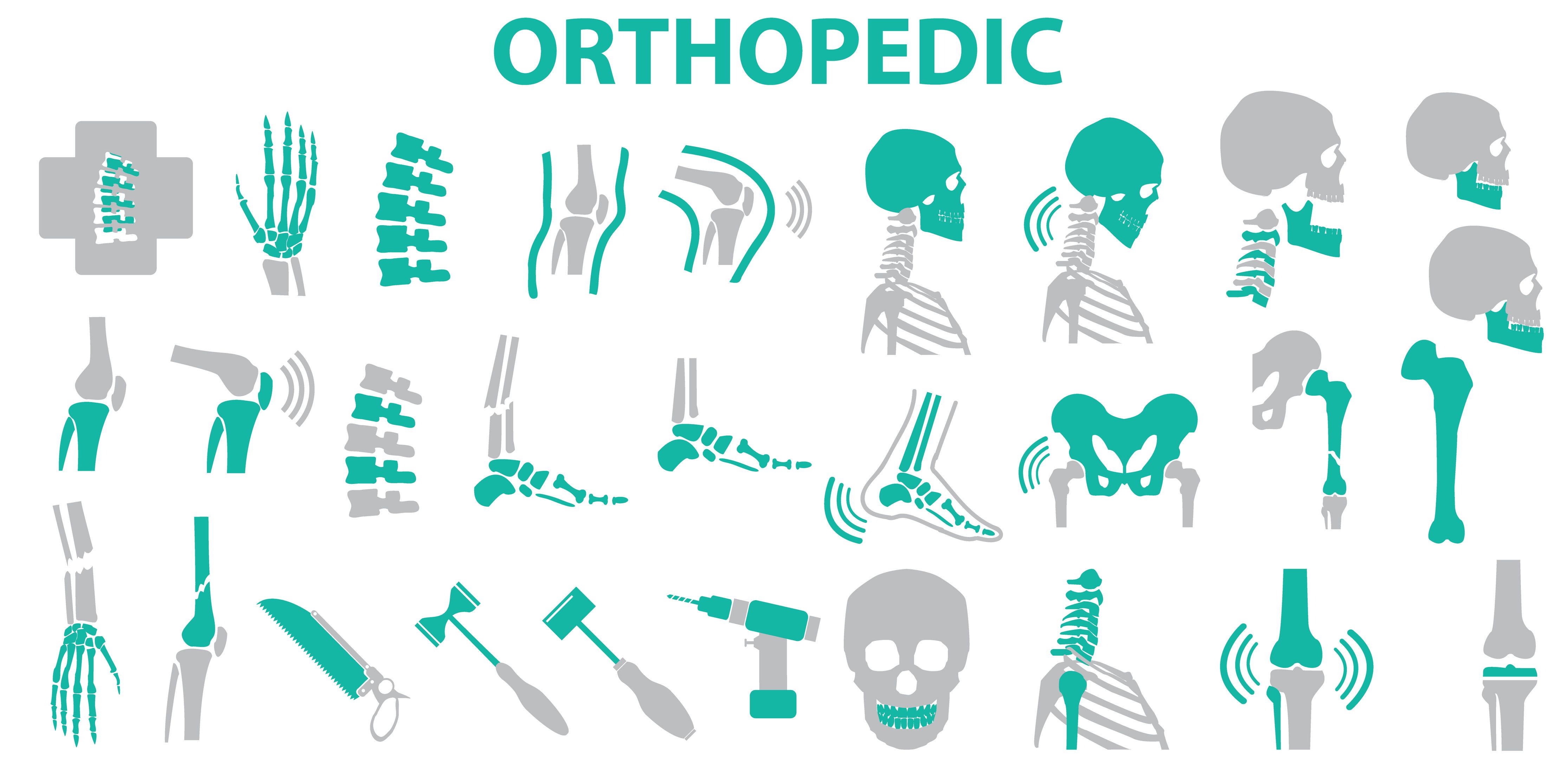 Orthopaedic