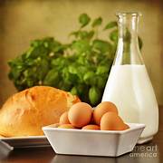 Dairy, Bread & Eggs